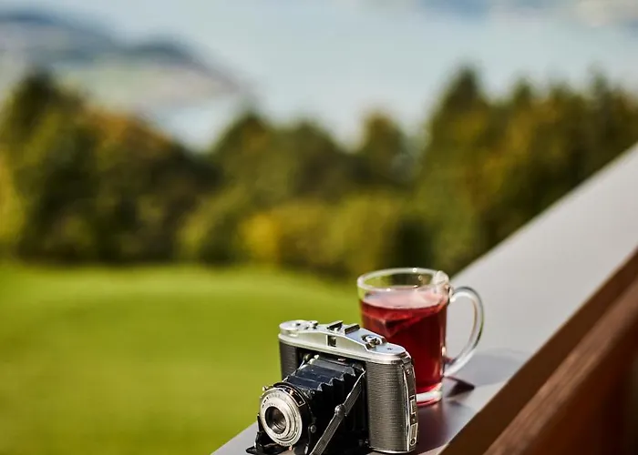 Auszeit-hotel Z Aeschiried Gæstehus Aeschi Bei Spiez